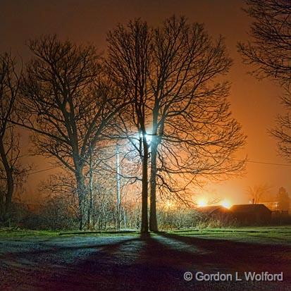 Trees In Night Lights_19757-62.jpg - Photographed at Smiths Falls, Ontario, Canada.